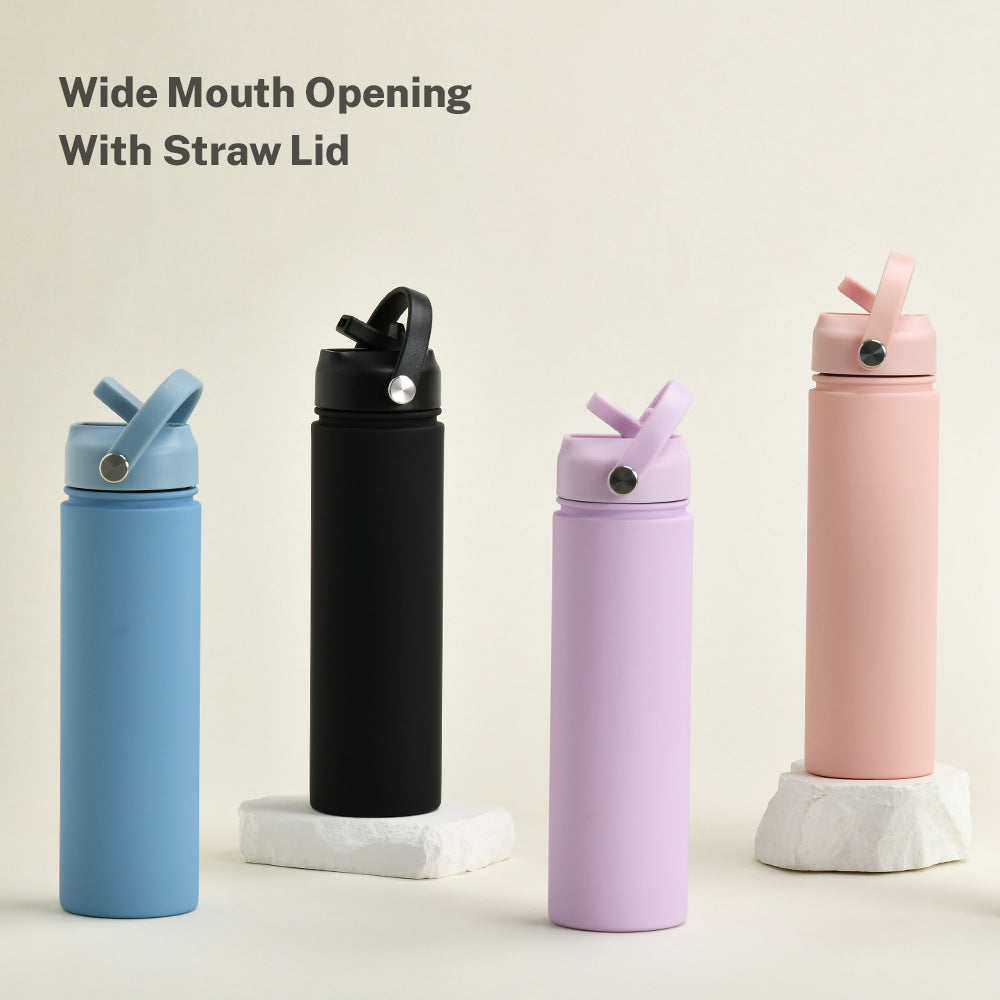 Insulated Stainless Steel Water Bottle with Straw