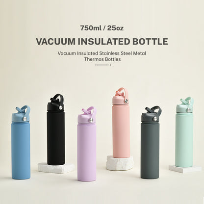 Insulated Stainless Steel Water Bottle with Straw